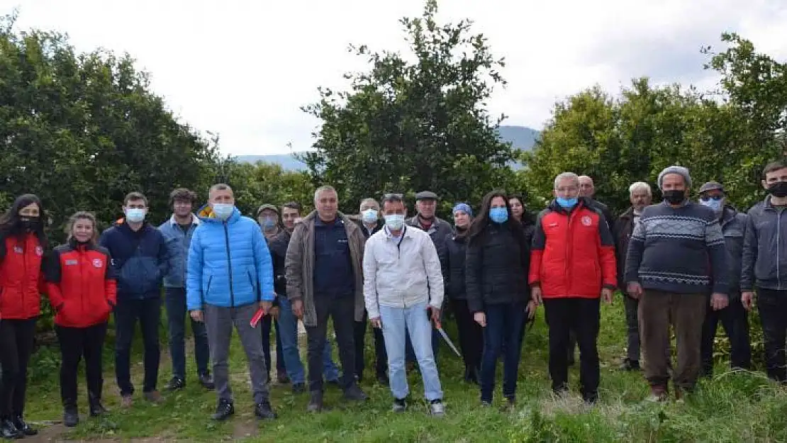 Köyceğiz'de üreticilere turunçgil yetiştiriciliği eğitimi verildi