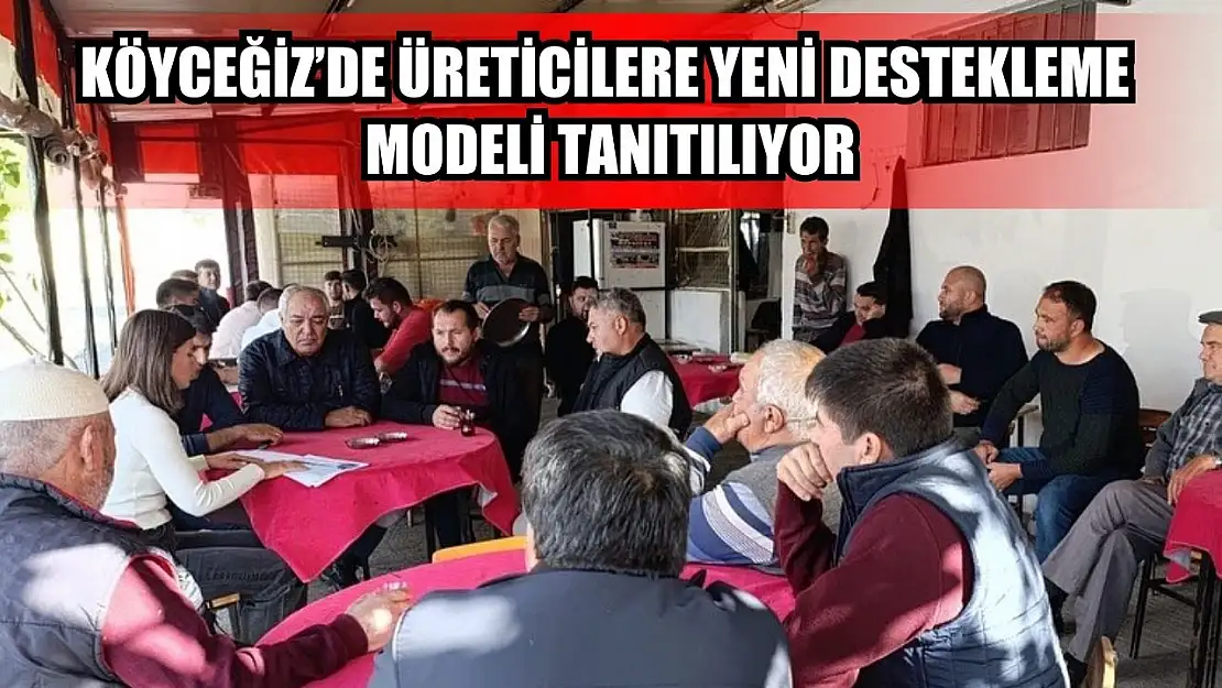 Köyceğiz'de üreticilere yeni destekleme modeli tanıtılıyor