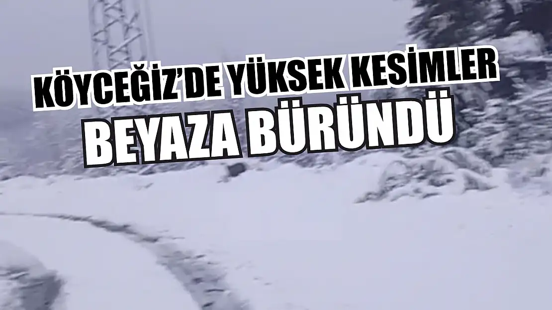 Köyceğiz'de yüksek kesimler beyaza büründü