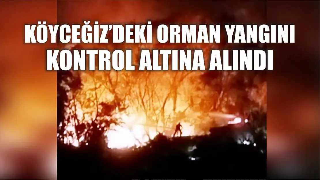 Köyceğiz'deki orman yangını kontrol altına alındı