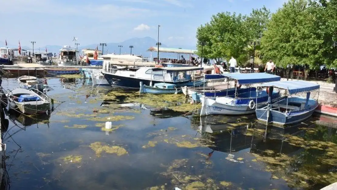 Köyceğiz Gölü ve Dalaman kanalları kirlilikten sos veriyor