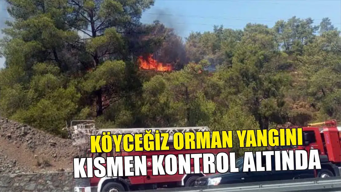 Köyceğiz Orman yangını kısmen kontrol altında