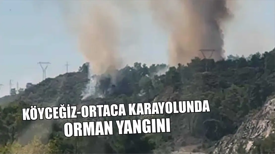 Köyceğiz-Ortaca karayolunda orman yangını