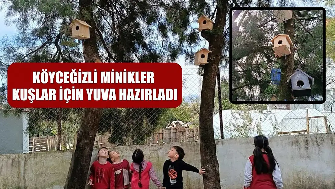 Köyceğizli minikler kuşlar için yuva hazırladı