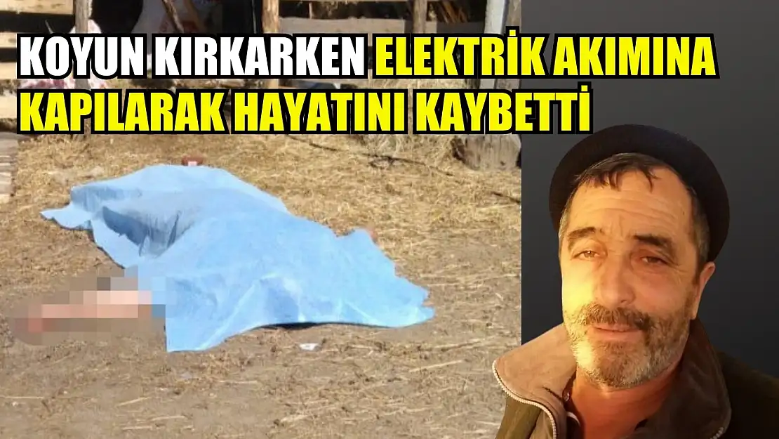 Koyun kırkarken elektrik akımına kapılarak hayatını kaybetti