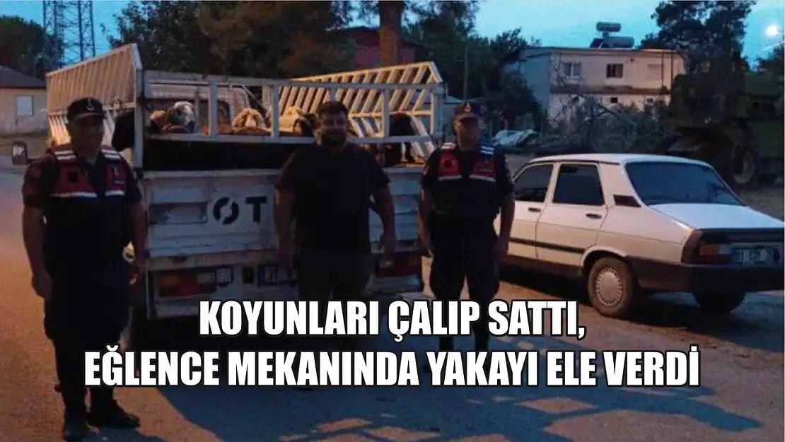 Koyunları çalıp sattı, eğlence mekanında yakayı ele verdi