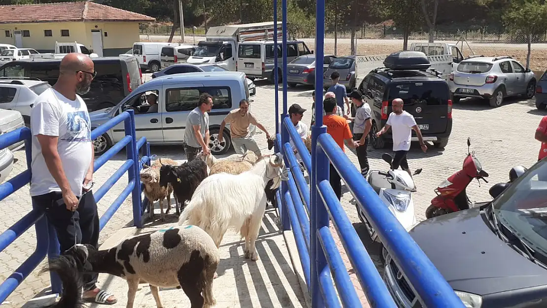 Kurban Kesim Yerlerinde Yoğunluk Yaşanıyor