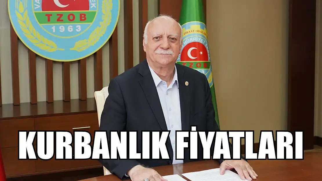 Kurbanlık fiyatları