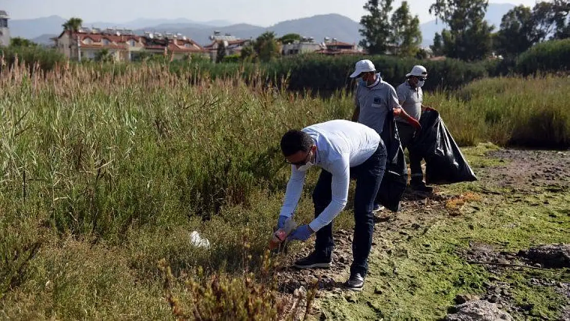 Kuş Cenneti temizlendi