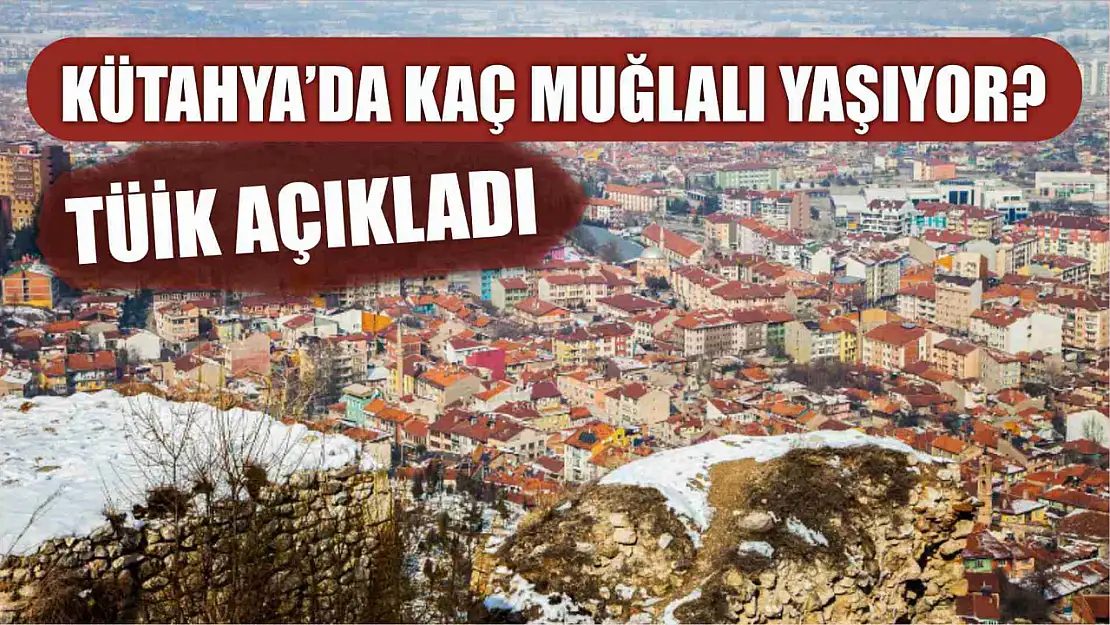 Kütahya'da kaç Muğlalı yaşıyor? TÜİK açıkladı