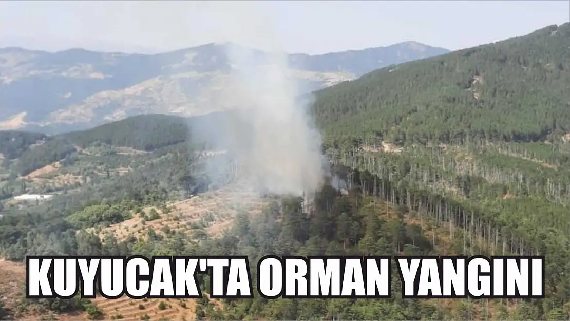 Kuyucak'ta orman yangını