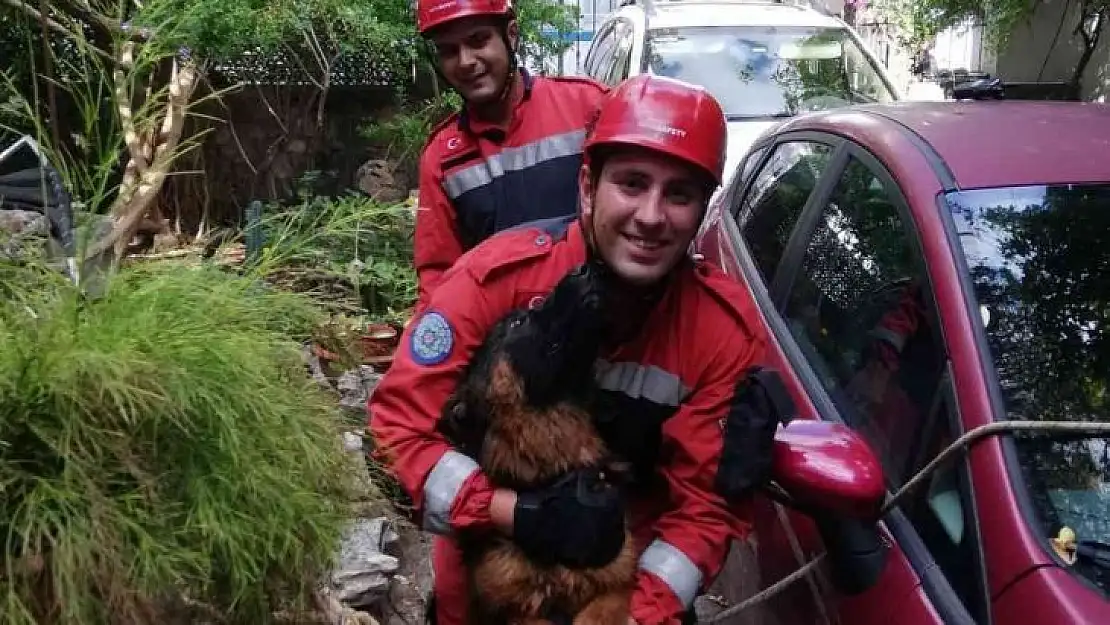 Kuyuya düşen köpeği itfaiye kurtardı