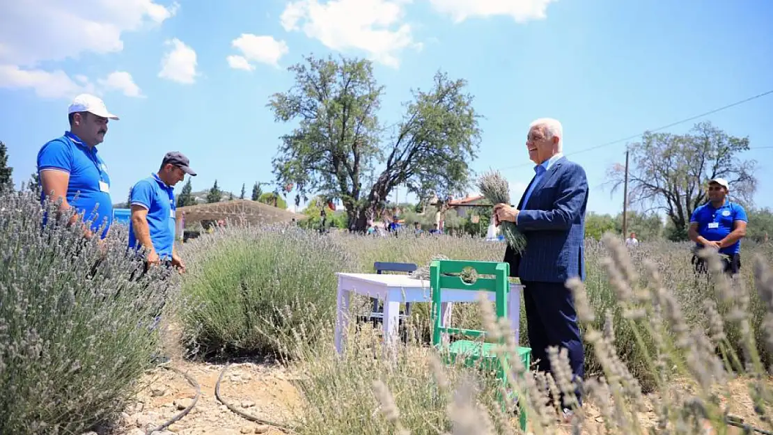 Lavanta Bahçesi Yeni Sezona Hazırlanıyor