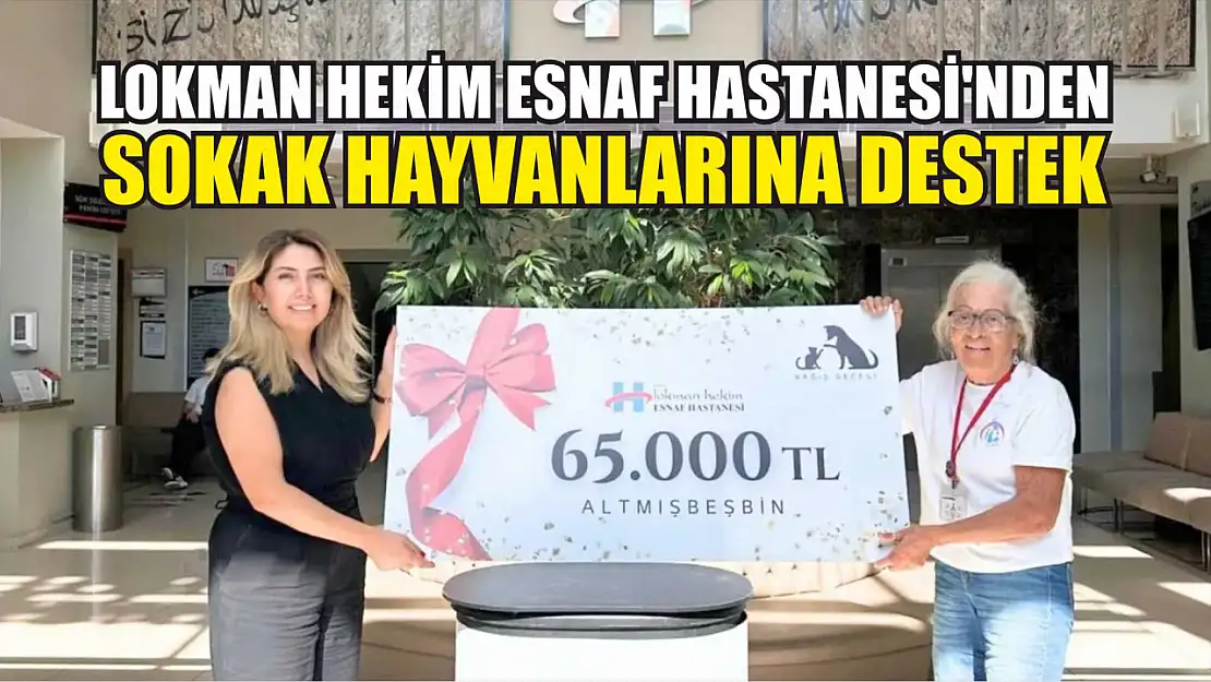 Lokman Hekim Esnaf Hastanesi'nden Sokak Hayvanlarına Destek