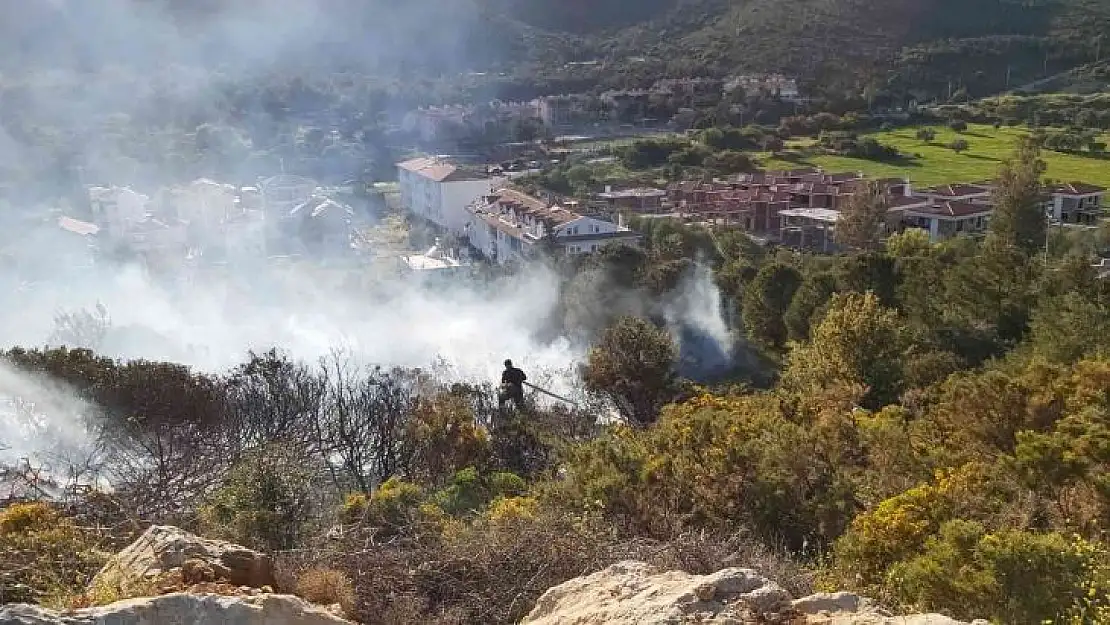 Makilik yangını ormana sıçramadan söndürüldü