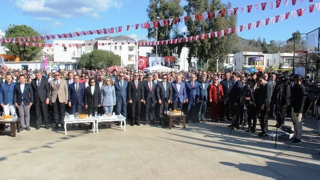 Mandalina şenliğine akın ettiler