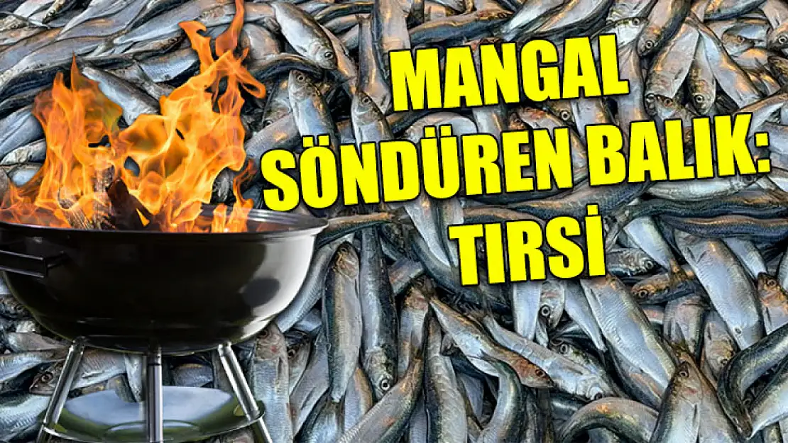 Mangal söndüren balık: Tırsi