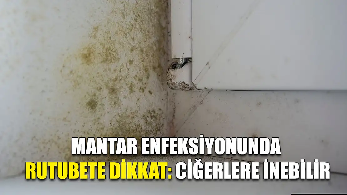 Mantar enfeksiyonunda rutubete dikkat: Ciğerlere inebilir