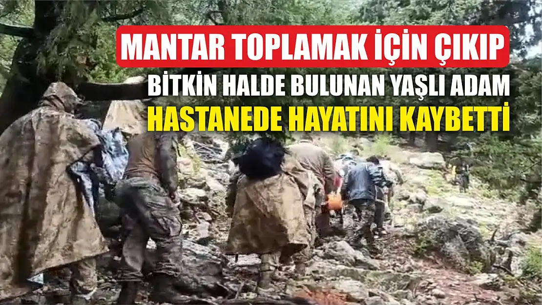 Mantar toplamak için çıkıp bitkin halde bulunan yaşlı adam hastanede hayatını kaybetti