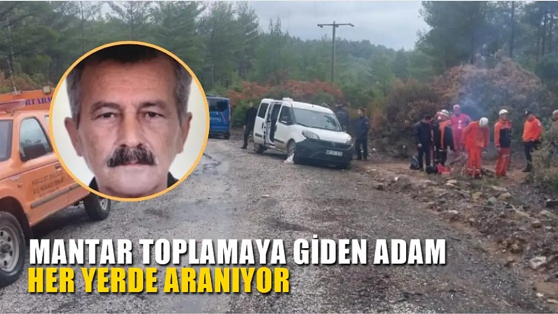 Mantar toplamaya giden adam her yerde aranıyor