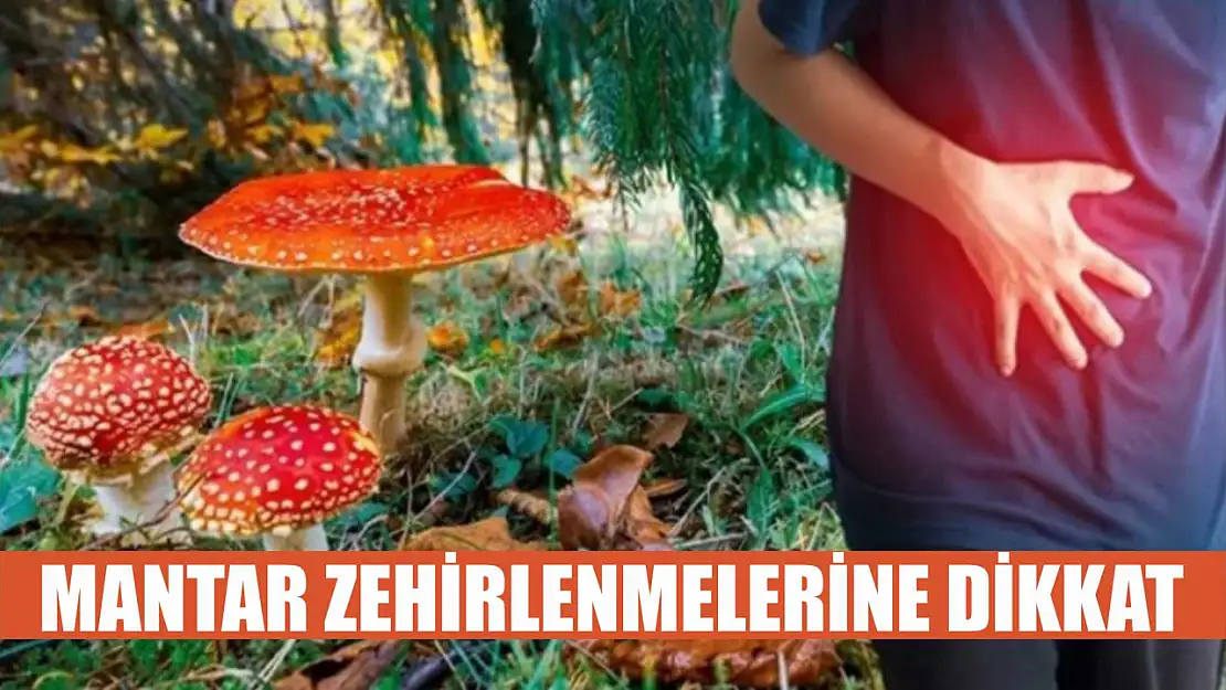 Mantar zehirlenmelerine dikkat