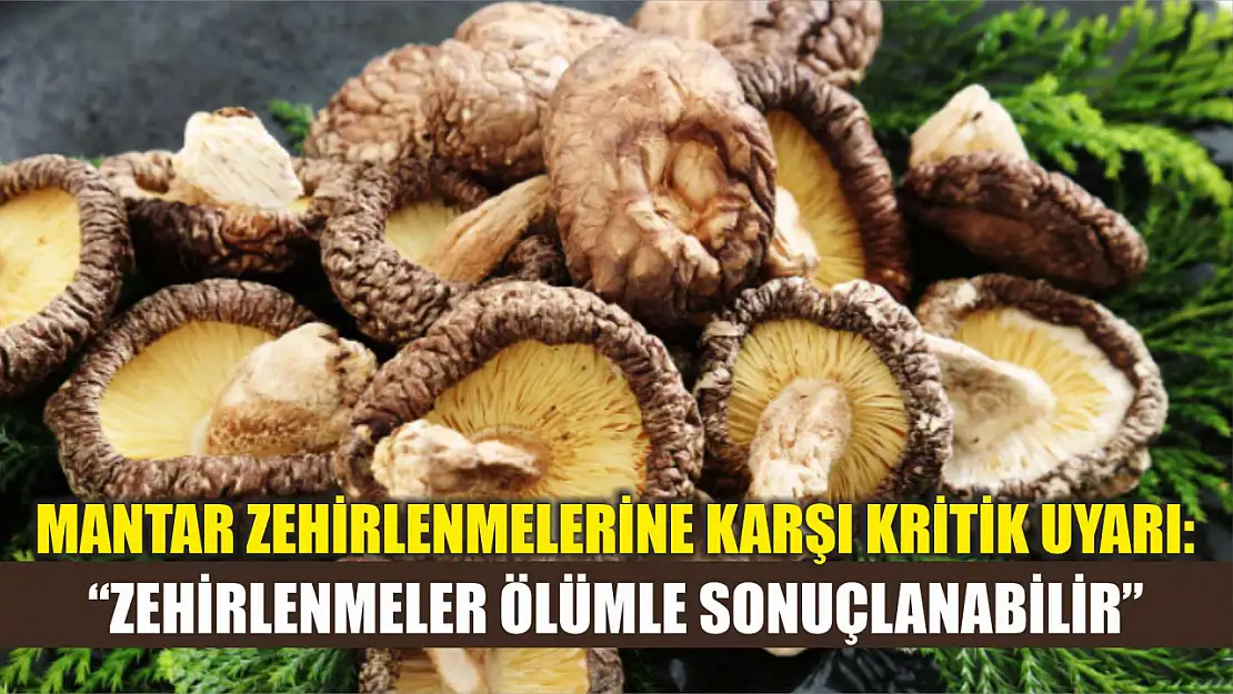 Mantar zehirlenmelerine karşı kritik uyarı: 'Zehirlenmeler ölümle sonuçlanabilir'