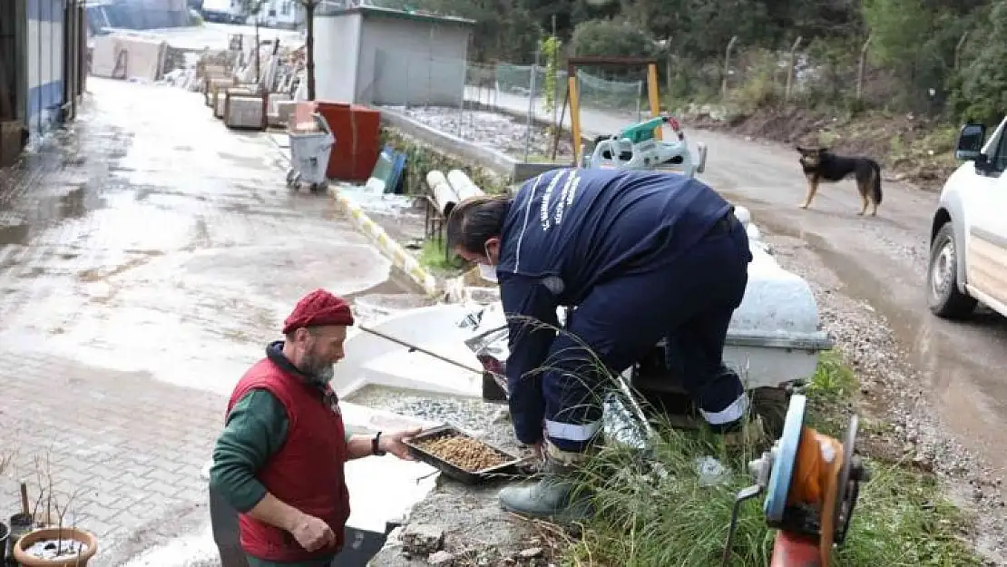 Marmaris Belediyesi sokaktaki canları yalnız bırakmadı