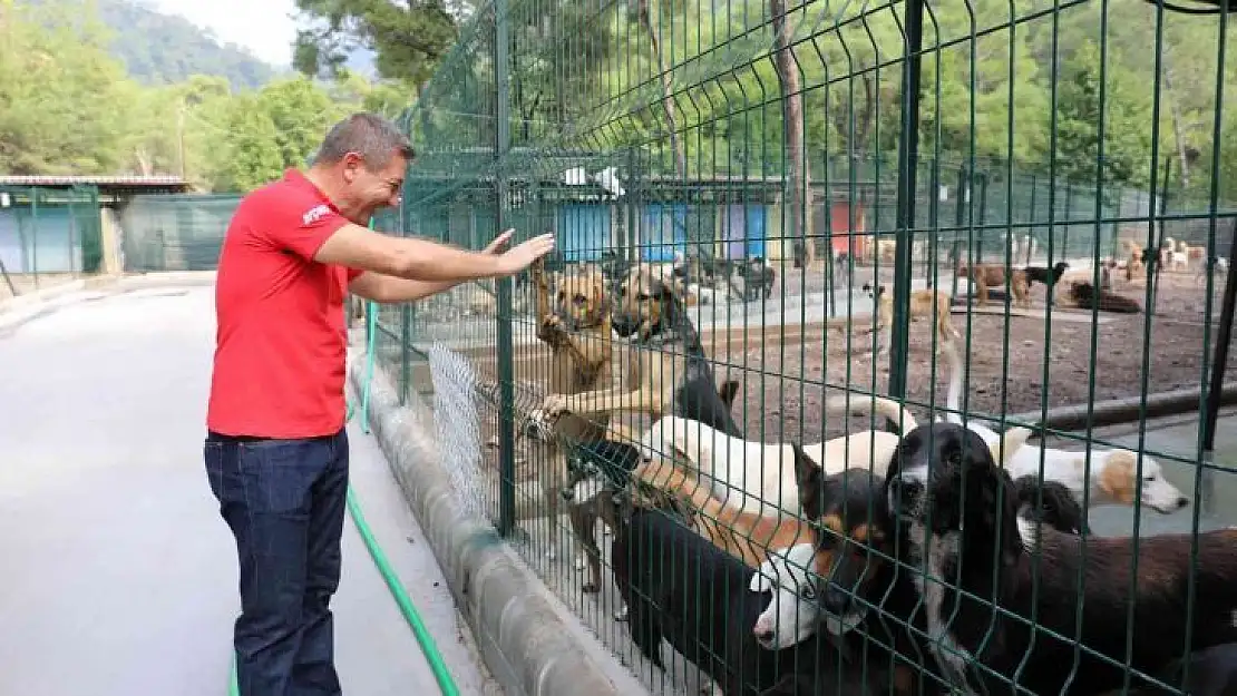 Marmaris Belediyesi, tüm dostlar için seferber oldu