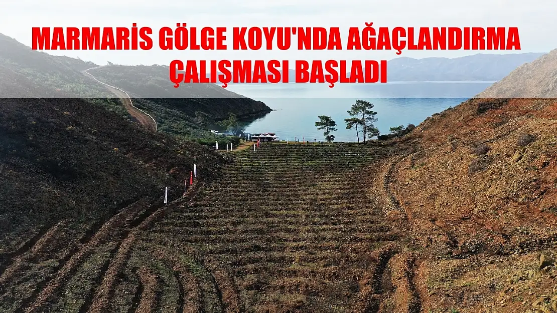 Marmaris Gölge Koyu'nda ağaçlandırma çalışması başladı