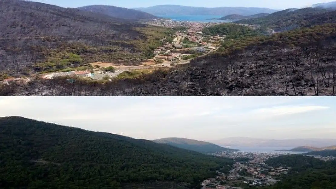 Marmaris'in yangın öncesi ve sonrası havadan görüntüleri, felaketin boyutunu gözler önüne serdi