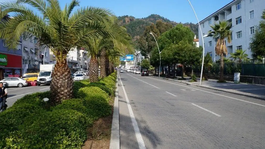 Marmaris'te ağaçlandırma seferberliği