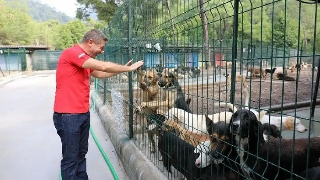 Marmaris'te can dostlar unutulmuyor