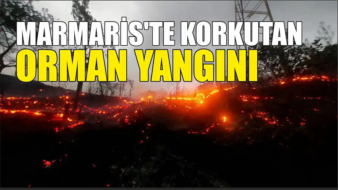 Marmaris'te korkutan orman yangını