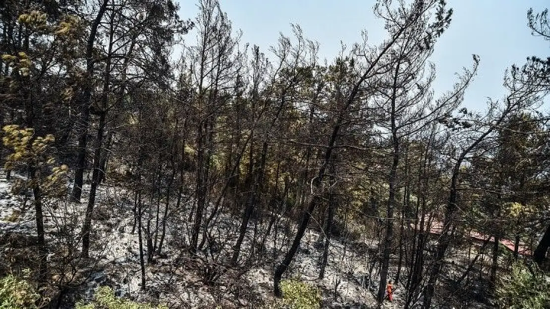 Marmaris'te siteye kadar inen yangında faciadan dönüldü