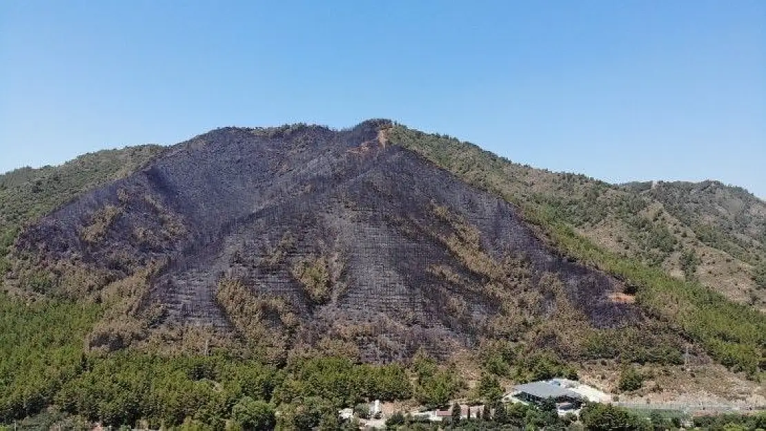 Marmaris'te yanan ormanlık alan havadan görüntülendi