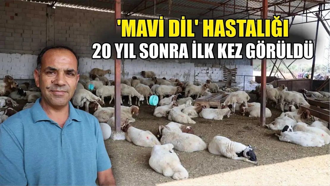 'Mavi dil' hastalığı 20 yıl sonra ilk kez görüldü