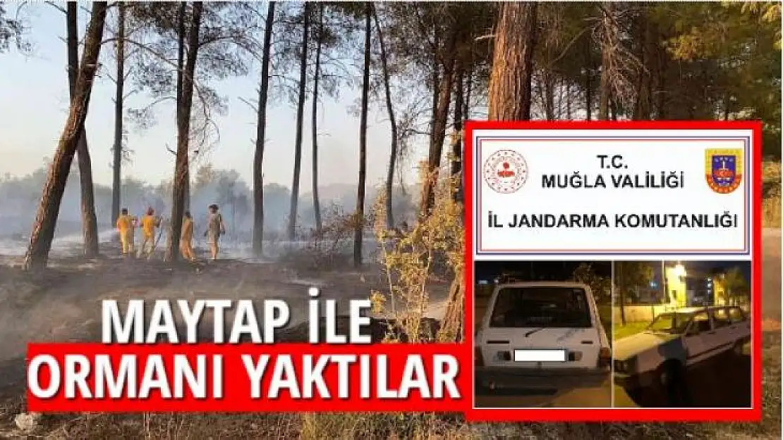 Maytap ile ormanı yaktılar