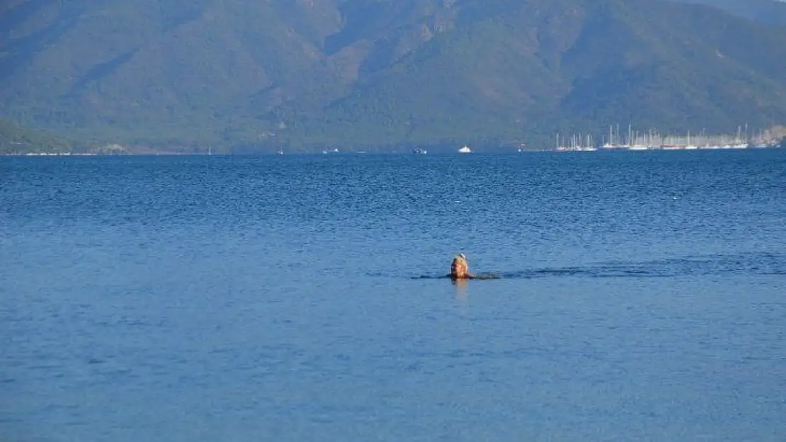 Memlekette kış Marmaris'te deniz keyfi