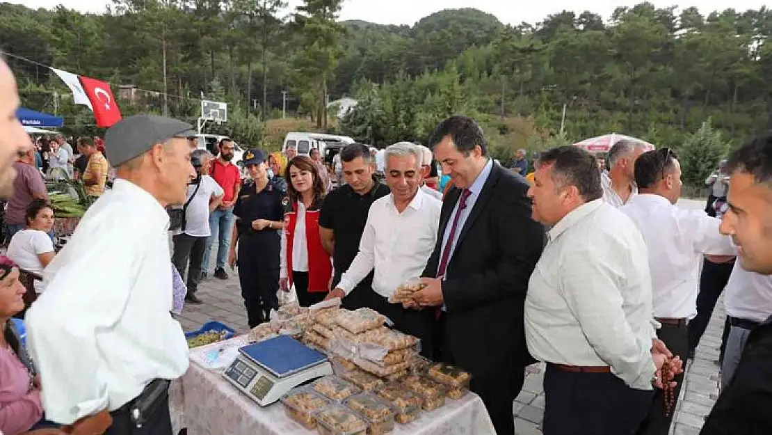 MENDERES HAVZASI'NIN ÜRÜNÜ OLARAK BİLİNEN İNCİR DALAMAN'DA DA ÜRETİLMEYE BAŞLANDI