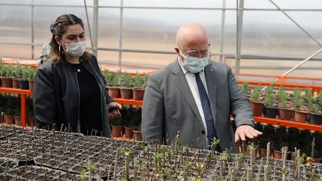 Menteşe Belediyesi bitkilerini kendi serasında üretiyor