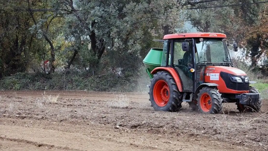 Menteşe'de 1 Ton Karakılçık Buğdayı Toprakla Buluştu