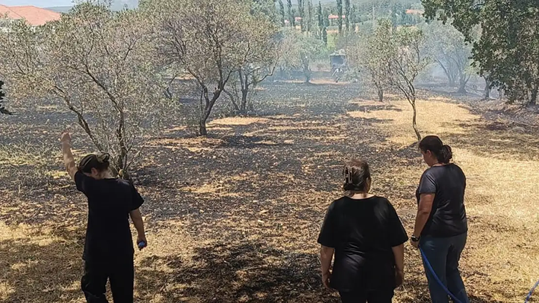 Menteşe'de Arazi Yangını Ekiplerin Zamanında Müdahalesi İle Söndürüldü