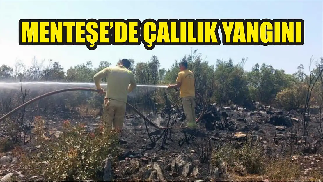 Menteşe'de çalılık yangını