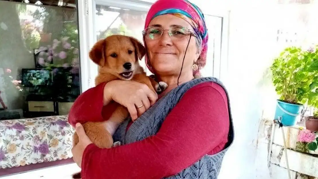 Menteşe'de çalınan köpek sahibine teslim edildi