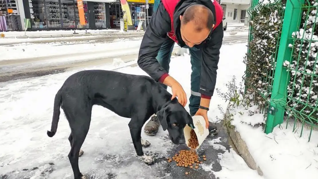 Menteşe'de can dostlar unutulmadı