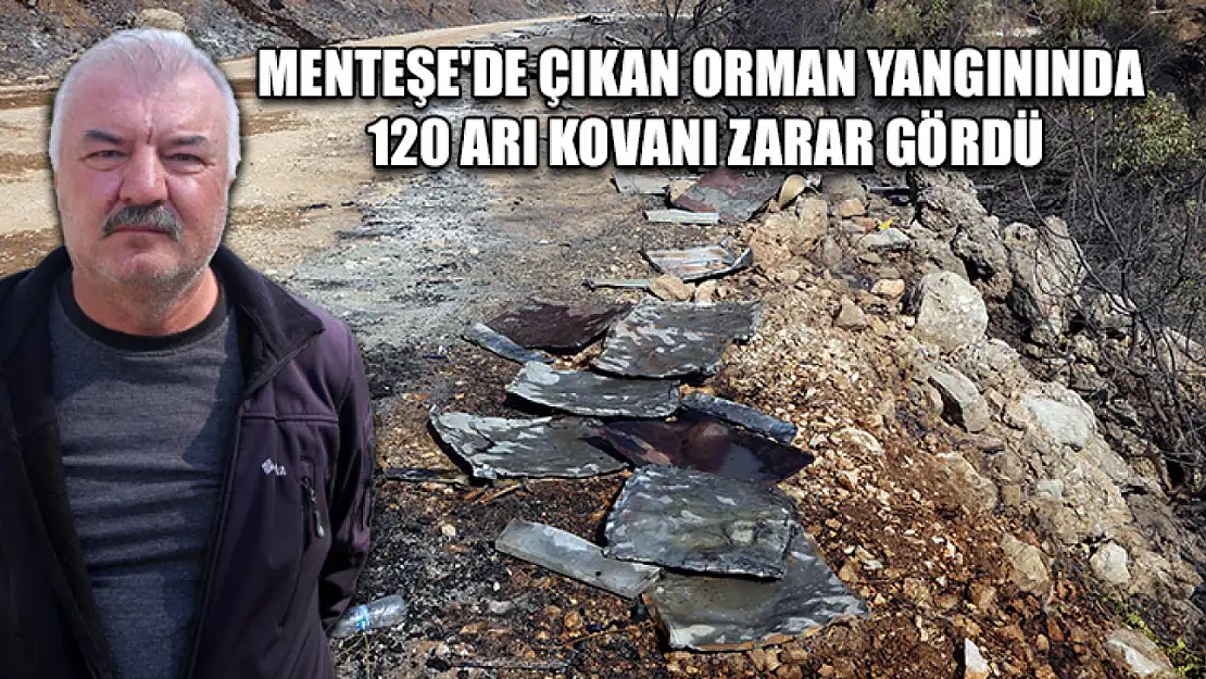 Menteşe'de çıkan orman yangınında 120 arı kovanı zarar gördü