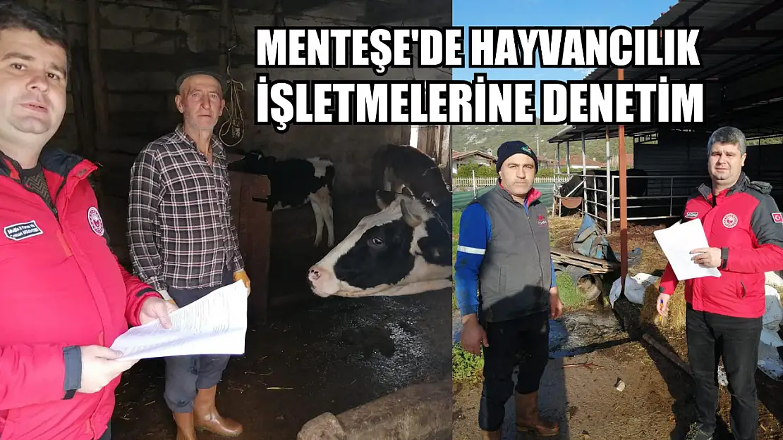 Menteşe'de hayvancılık işletmelerine denetim