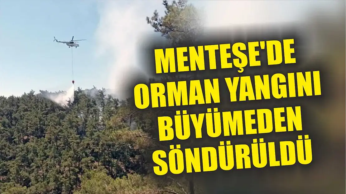 Menteşe'de orman yangını büyümeden söndürüldü