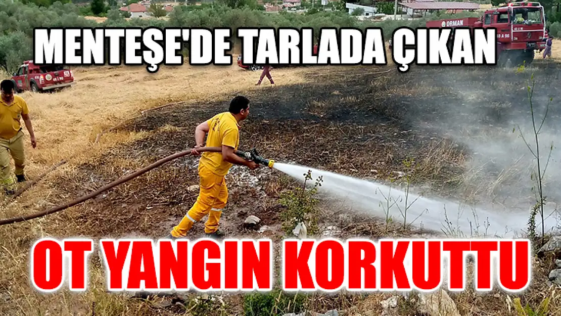 Menteşe'de Tarlada Çıkan Ot Yangın Korkuttu