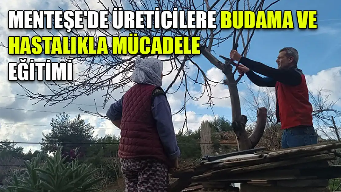 Menteşe'de üreticilere budama ve hastalıkla mücadele eğitimi